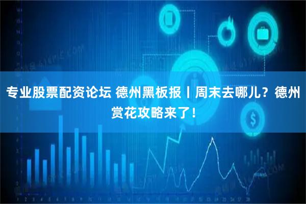 专业股票配资论坛 德州黑板报丨周末去哪儿？德州赏花攻略来了！